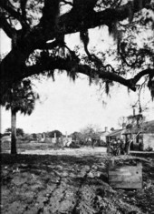 View showing African American family standing next to former slave cabins made of tabby concrete at the Kingsley Plantation on Fort George Island in Jacksonville, Florida.