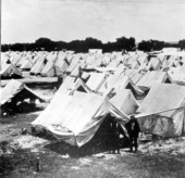 Tents set up at Camp Tampa during the Spanish-American war.