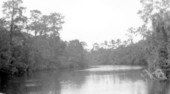 Scenic view of the Saint Marks River