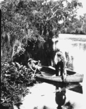 Fisherman landing a 12 pound bass on the Hillsborough River