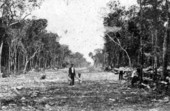 Early view of 1st Street - Miami, Florida.