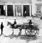 Children and donkey-drawn vehicle on Bay Street - Jacksonville, Florida