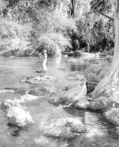 Man fishing in Hillsborough River