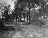 Dog in driveway at the Grove - Tallahassee, Florida