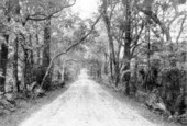 View down Old St. Augustine Road - Tallahassee, Florida.
