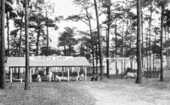Tourist camp - Arcadia, Florida