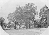 North side of East Hall (women's dormitory) at Florida State College - Tallahassee, Florida.