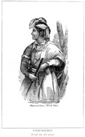 Drawing of Seminole chief, Coacoochee (Wild Cat)