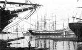 Schooner loading lumber at Pensacola Harbor - Pensacola, Florida.