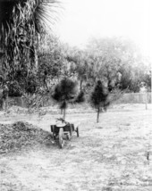The Pinard homesite on Gulf Stream Avenue - Sarasota, Florida.