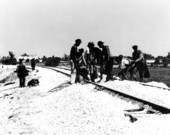 Florida East Coast Railway employees grading for railroad - Fort Pierce, Florida