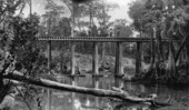 Railroad workers on bridge - Lacoochee, Florida