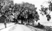 Looking down River street - Palatka, Florida