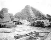 Stacked cedar posts in lumber yard at E. Faber's Cedar Mill - Cedar Key, Florida
