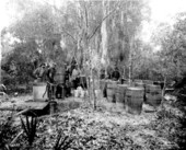 Men gathered at moonshine still after raid - Tampa, Florida.