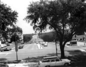 Looking down Apalachee Parkway from the steps of the Capitol - Tallahassee, Florida.