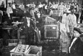 Strawberry packing in Starke