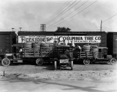 Trucks loaded with Firestone tires - Miami, Florida