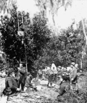 Picking oranges in the Harris grove - Citra, Florida