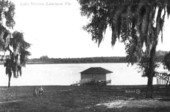 Overlooking Lake Morton - Lakeland, Florida