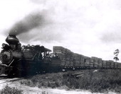 Brooks-Scanlon Corporation engine #3 transporting lumber - Perry, Florida