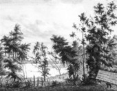 Lithograph of plantation on Lake Lafayette - Leon County, Florida