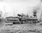 Graves Lumber Company logging train - Liberty County, Florida