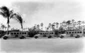 Buses at Ponce de Leon Plaza - Coral Gables, Florida