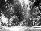 Residence in Kissimmee, Florida