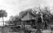 Smith brother's homestead by Mullet Creek - Grant, Florida.