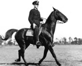 Luther Dennis on his horse - Lake City, Florida