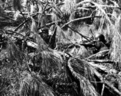 Riflemen on field maneuvers at Camp Blanding - Starke, Florida
