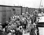 Unloading bananas - Tampa, Florida