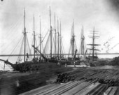 Lumber schooners docked at the wharf - Fernandina, Florida