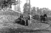 Sugarcane grinding