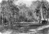 View of spring at Orange Springs