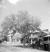 Residence - Cedar Key, Florida
