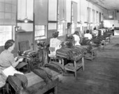 Tobacco stripping at cigar factory - Tampa, Florida.