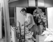 Tobacco worker - Live Oak, Florida