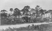 Clearing land for subdivision - Miami, Florida