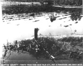 Flooded tomato truck farm - Martin County, Florida