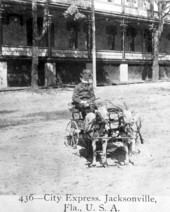 Boy in a goat-drawn cart - Jacksonville, Florida.