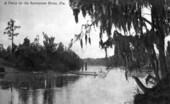 A ferry on the Suwannee River, Fla.