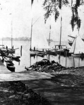 Sloops docked at Jacksonville harbor - Jacksonville, Florida.