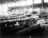Adams Packing Company :Auburndale, Florida