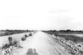 View down the canal and road - Tamiami Trail, Florida