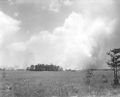 Fire in the Everglades, East of Turner River