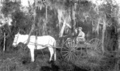 Hunters in wagon - Mohawk, Florida