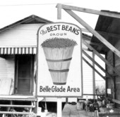 Sign for beans - Belle Glade, Florida.