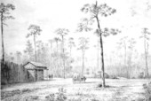Fort Harllee - Bradford County, Florida